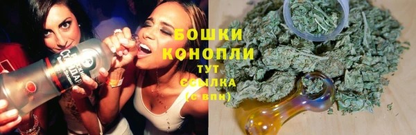 спиды Бердск
