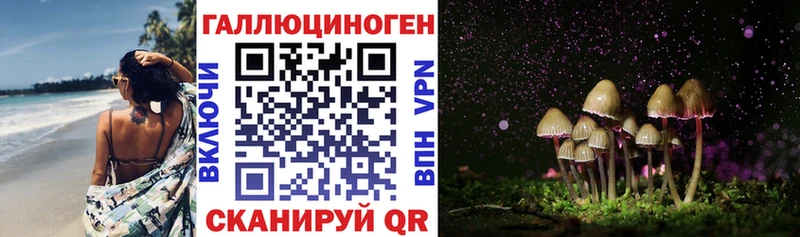 Галлюциногенные грибы Psilocybe  Богданович 