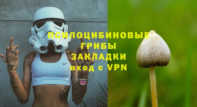 Псилоцибиновые грибы MAGIC MUSHROOMS  Богданович 