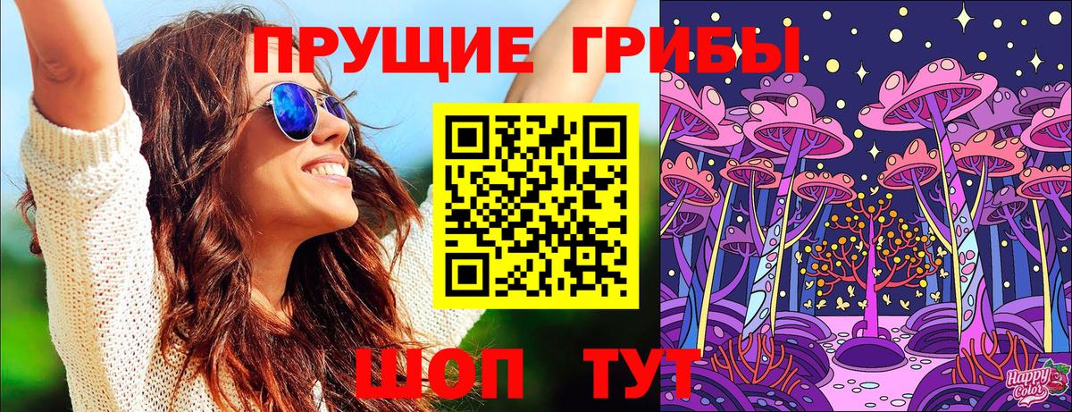 Галлюциногенные грибы прущие грибы  Псилоцибиновые грибы прущие грибы  Богданович 