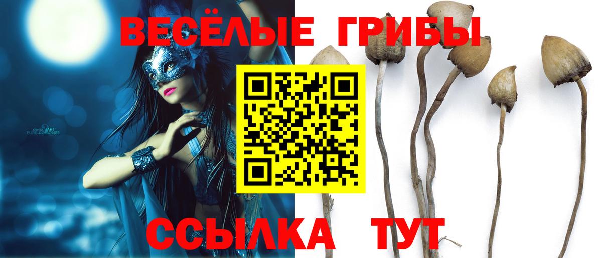 Богданович  купить наркотики цена  Вход с VPN  Галлюциногенные грибы мицелий  Псилоцибиновые грибы GOLDEN TEACHER 